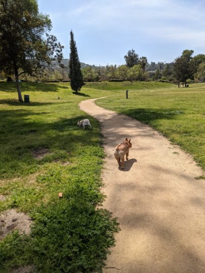 South Weddington Park - Studio City, CA