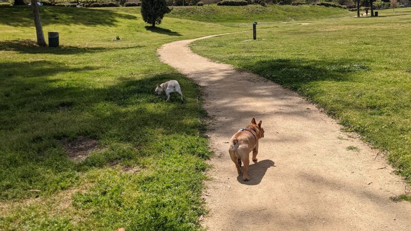 South Weddington Park - Studio City, CA