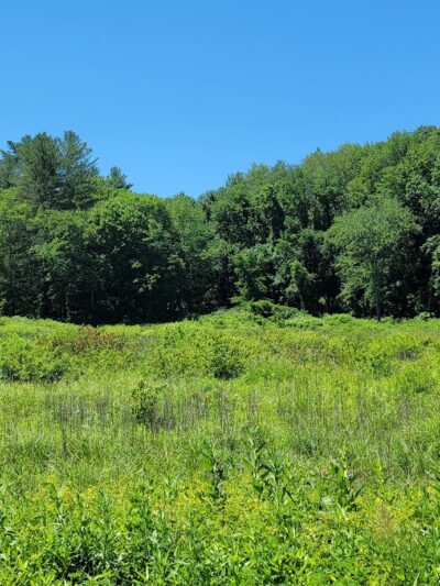 Westville Recreation Picnic Shelters - Sturbridge, MA