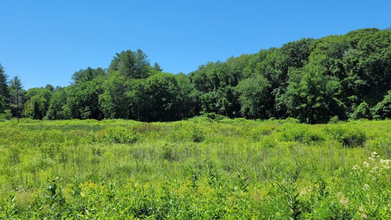 Westville Recreation Picnic Shelters - Sturbridge, MA
