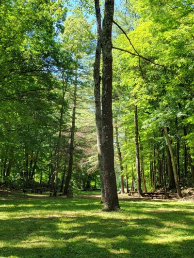 Westville Recreation Picnic Shelters - Sturbridge, MA