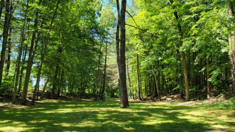 Westville Recreation Picnic Shelters - Sturbridge, MA