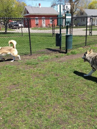 Old Depot Dog Park - Sturgis, MI