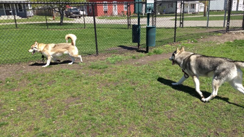 Old Depot Dog Park - Sturgis, MI