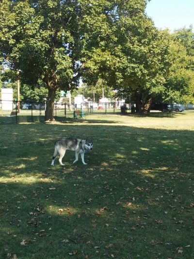 Old Depot Dog Park - Sturgis, MI