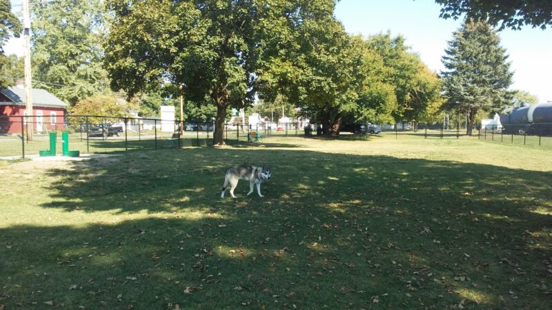 Old Depot Dog Park - Sturgis, MI