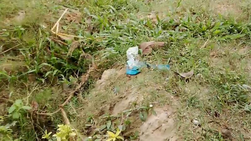 Sudan Roadside Park - Sudan, TX