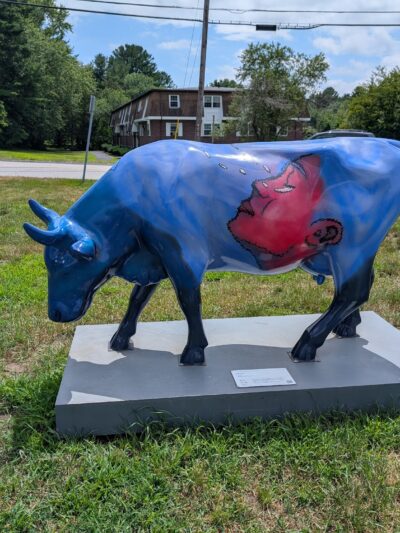 Bruce Freeman Rail Trail Hudson Rd Sudbury MA - Sudbury, MA