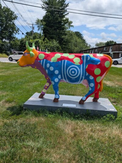 Bruce Freeman Rail Trail Hudson Rd Sudbury MA - Sudbury, MA