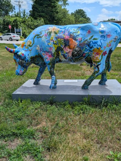 Bruce Freeman Rail Trail Hudson Rd Sudbury MA - Sudbury, MA