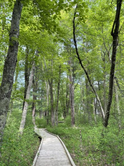 Great Meadows National Wildlife Refuge - Sudbury Unit - Sudbury, MA