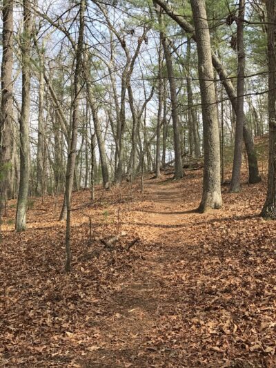 Great Meadows National Wildlife Refuge - Sudbury Unit - Sudbury, MA