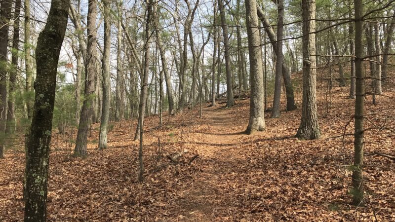 Great Meadows National Wildlife Refuge - Sudbury Unit - Sudbury, MA