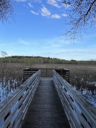 Great Meadows National Wildlife Refuge - Sudbury Unit - Sudbury, MA
