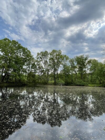 Great Meadows National Wildlife Refuge - Sudbury Unit - Sudbury, MA