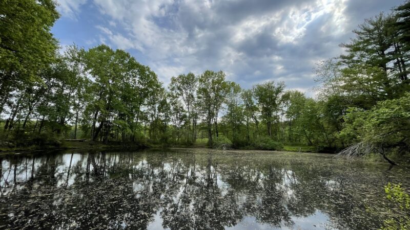 Great Meadows National Wildlife Refuge - Sudbury Unit - Sudbury, MA