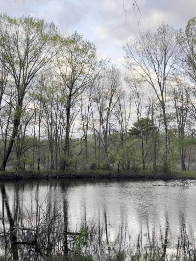Great Meadows National Wildlife Refuge - Sudbury Unit - Sudbury, MA