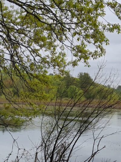 Parking, Weir Hill Trail, Great Meadows National Wildlife Refuge - Sudbury, MA