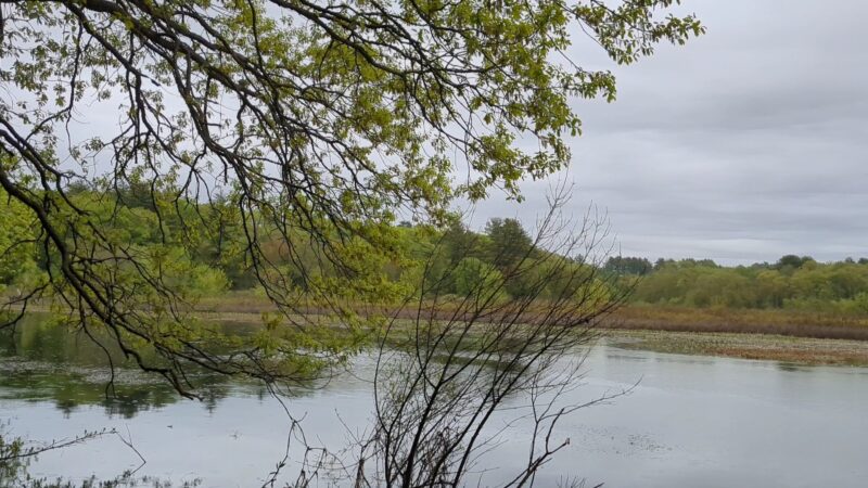 Parking, Weir Hill Trail, Great Meadows National Wildlife Refuge - Sudbury, MA