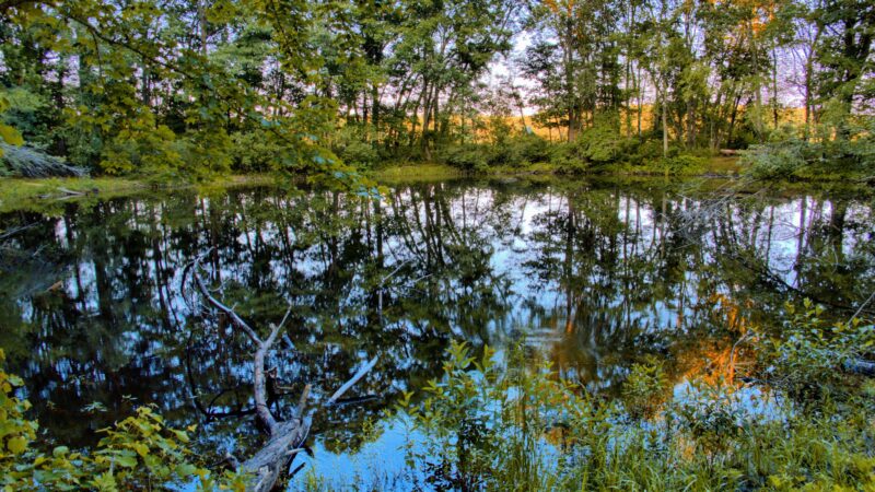 Parking, Weir Hill Trail, Great Meadows National Wildlife Refuge - Sudbury, MA