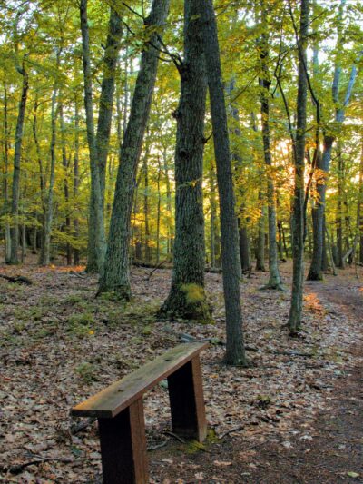 Parking, Weir Hill Trail, Great Meadows National Wildlife Refuge - Sudbury, MA