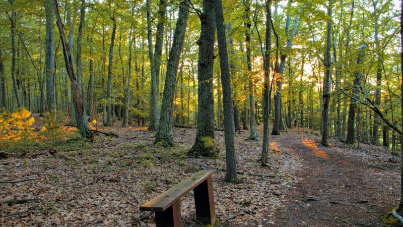Parking, Weir Hill Trail, Great Meadows National Wildlife Refuge - Sudbury, MA