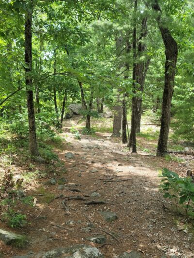 Tippling Rock - Sudbury, MA