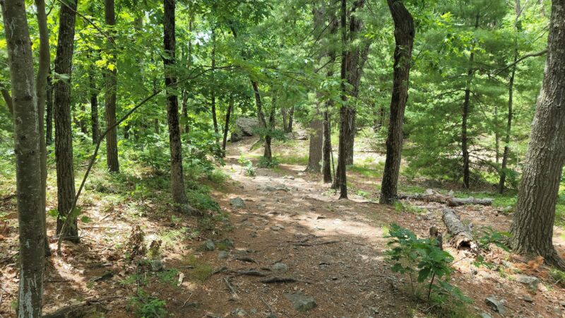 Tippling Rock - Sudbury, MA