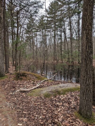 Tippling Rock - Sudbury, MA