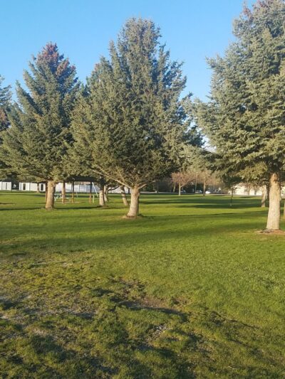 Mayor's Park - Sugar City, ID