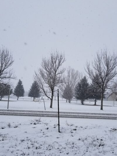 Mayor's Park - Sugar City, ID