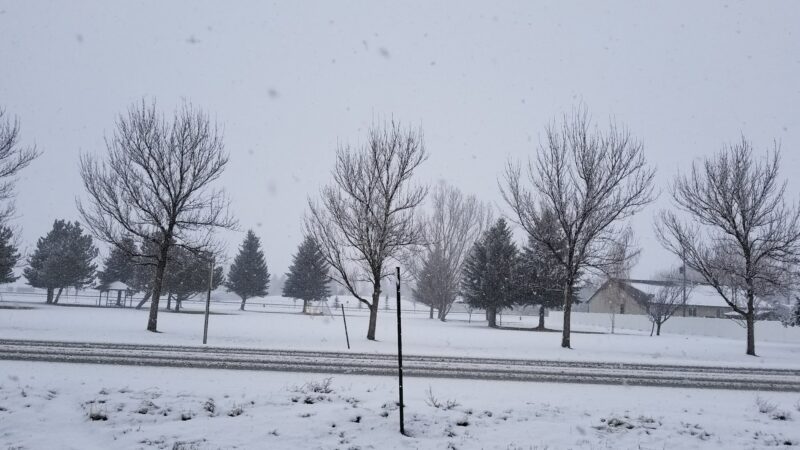 Mayor's Park - Sugar City, ID