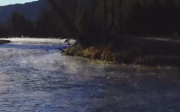 Sugar City RV Park - Sugar City, ID