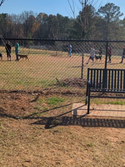 Ridge Lake Park - Sugar Hill, GA