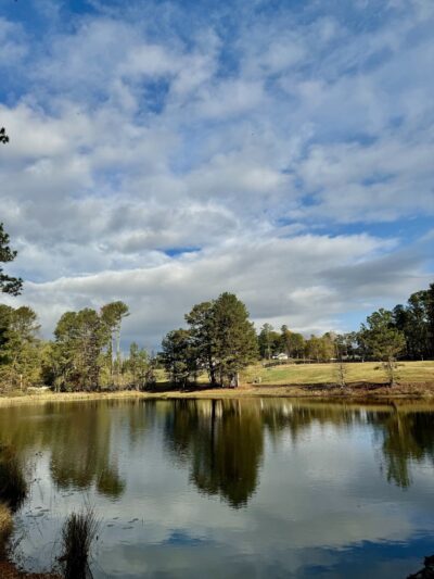 Ridge Lake Park - Sugar Hill, GA