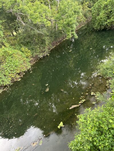Oyster Creek Park - Sugar Land, TX