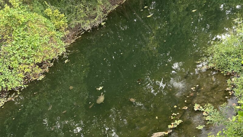 Oyster Creek Park - Sugar Land, TX