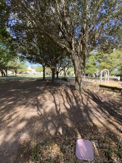 Silverthorne Park - Sugar Land, TX