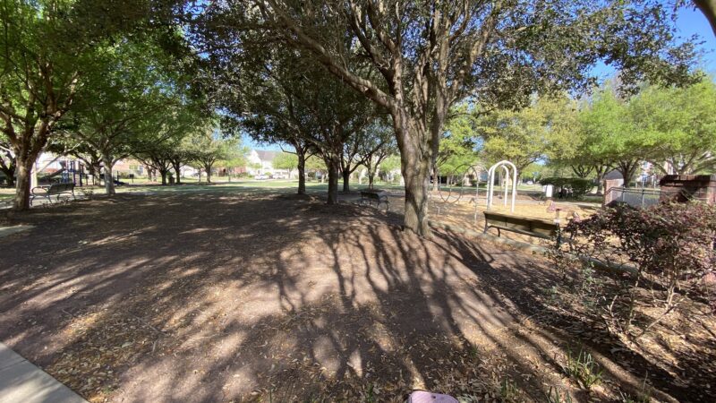 Silverthorne Park - Sugar Land, TX