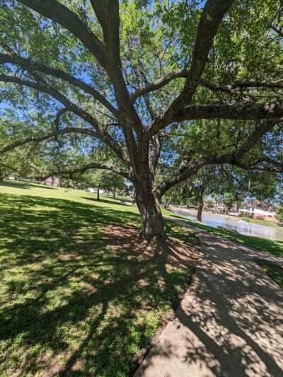 Sugar Mill Park - Sugar Land, TX