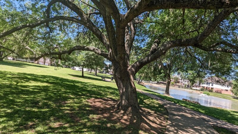 Sugar Mill Park - Sugar Land, TX