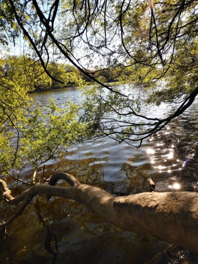 Water’s Way Park - Sugar Land, TX