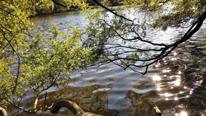 Water’s Way Park - Sugar Land, TX