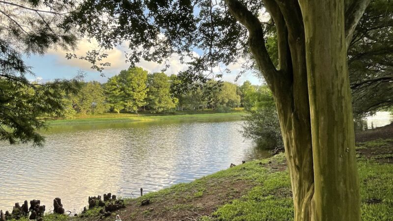Water’s Way Park - Sugar Land, TX