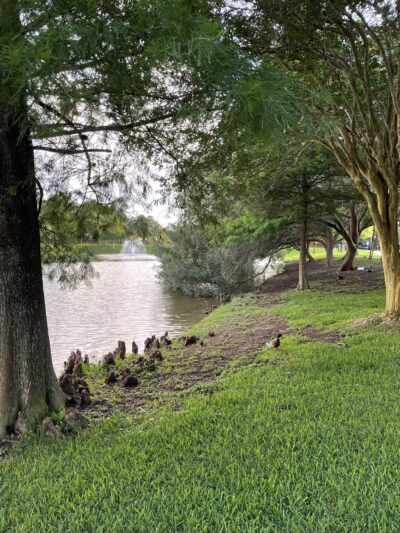 Water’s Way Park - Sugar Land, TX