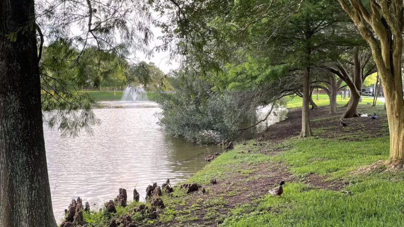 Water’s Way Park - Sugar Land, TX