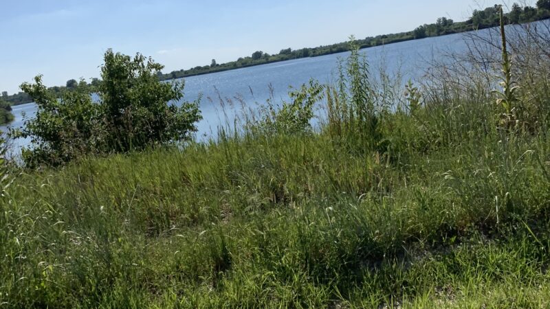 Bass Lake - Sullivan, IN