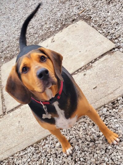 Hairyott Inn - Sullivan, IN