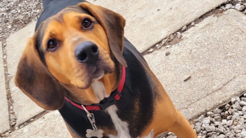 Hairyott Inn - Sullivan, IN