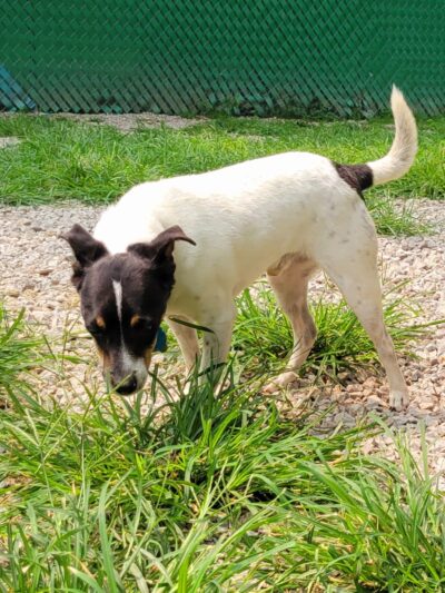 Hairyott Inn - Sullivan, IN